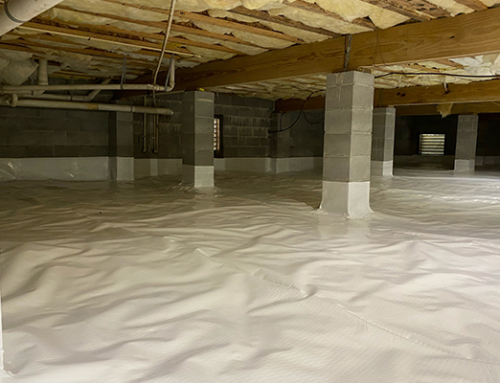 5 Signs Your Home Needs Crawl Space Encapsulation | Crawl Space Encapsulation in Brunswick, GA