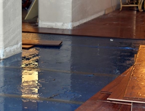 The Hidden Costs of DIY Water Damage Restoration in St. Simons