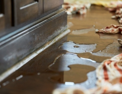 Why Home Cleaning is Important After Water Damage | Water Removal Company