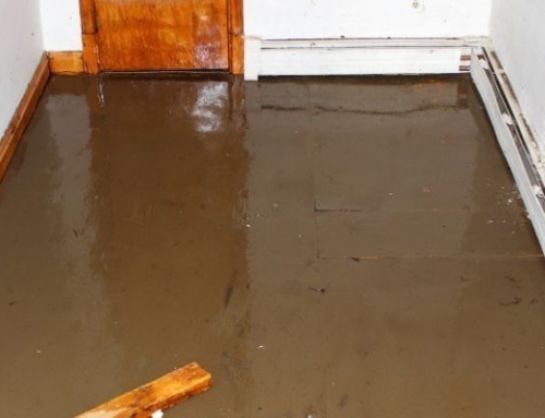 Crawl Space Water Damage Restoration FAQs | Water Removal Company