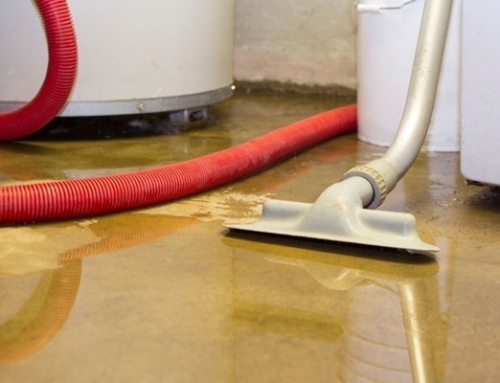 Common Mistakes Homeowners Make During Water Damage Cleanup