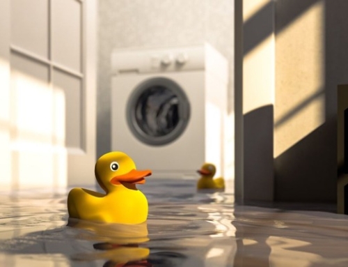 The Health Risks of Ignoring Water Damage in Your Property | Water Damage Cleanup